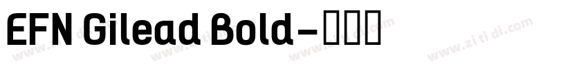 EFN Gilead Bold字体转换